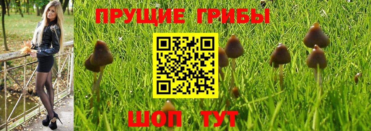 Галлюциногенные грибы мухоморы Бахчисарай