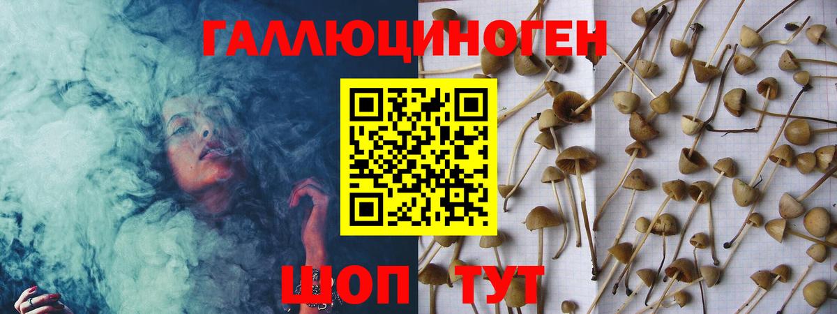 Галлюциногенные грибы Psilocybe  Псилоцибиновые грибы MAGIC MUSHROOMS  Бахчисарай  Вход с VPN 